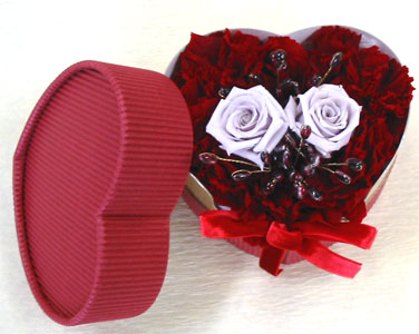 �E�G�f�B���O�@�v���U�[�u�h�t�����[/�����O�s���[�@���r�[�n�[�g